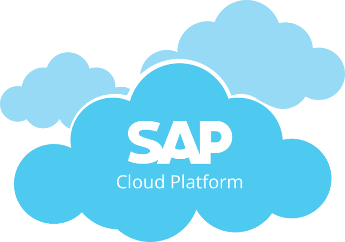 Лого за SAP Cloud